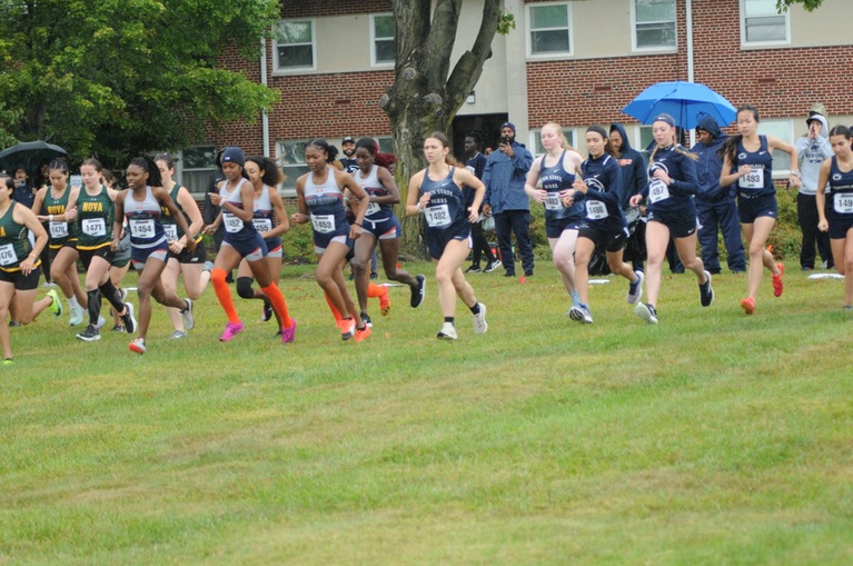 Thumbnail photo for the Women's XC at Bud Smitley at PSU Harrisburg gallery